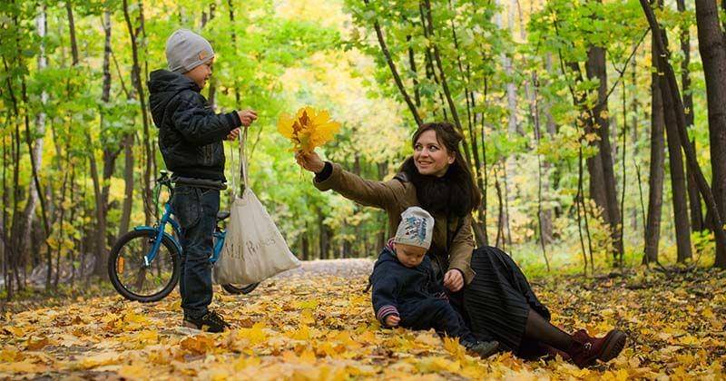 Pexels/Berendey_Ivanov/Andrey_Kobysnyn