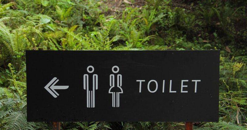 Paxels/Hafidz Alifuddin