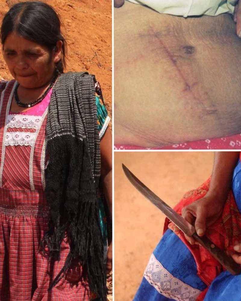 Twitter.com/drlindseyfitz