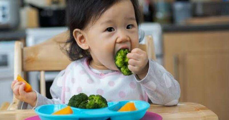 Mother Nature Network