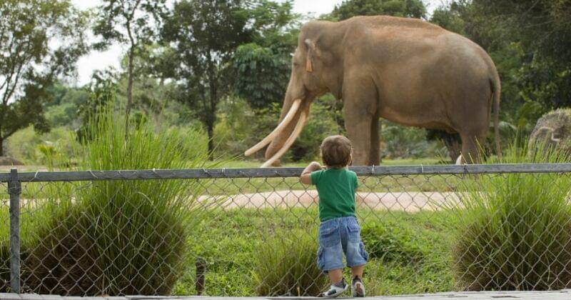 PatentMap/PARENT STORIES