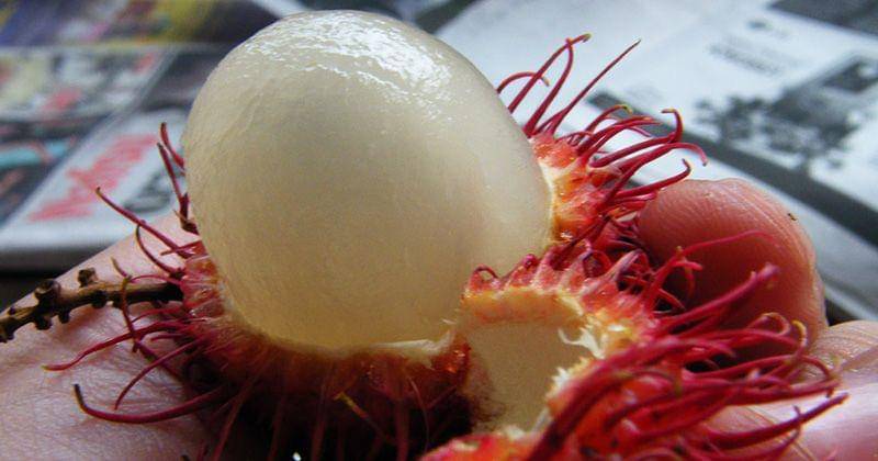 Flickr.com/Emran Kassim