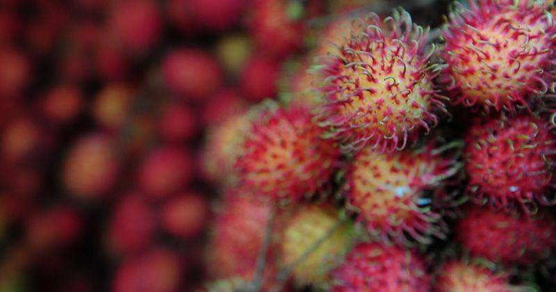 Flickr.com/Marcin Krakowiak