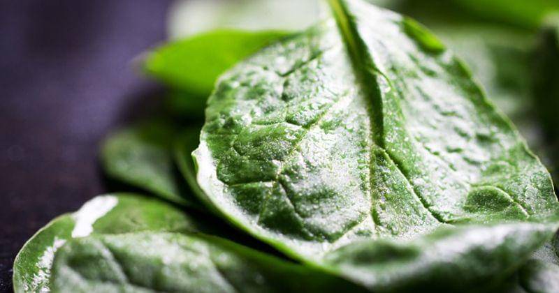 Freepik/Valeria_aksakova