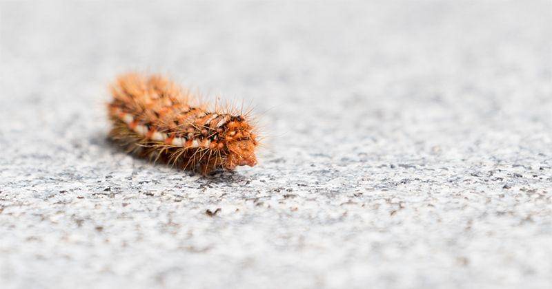 Unsplash/Tobias Verstappen