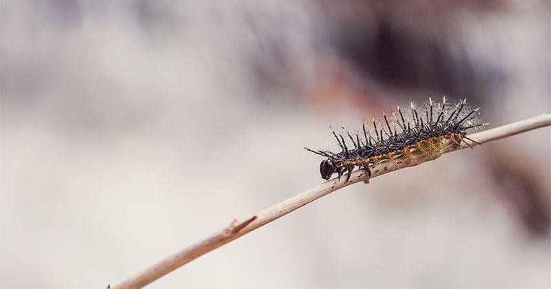 Unsplash/Jairo Alzate