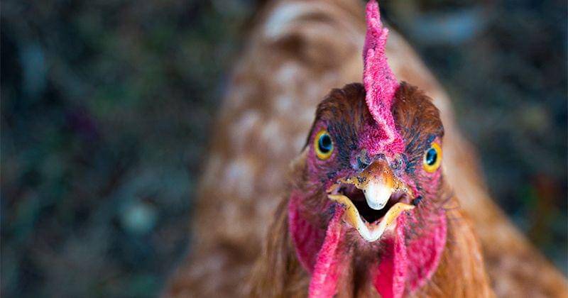 Unsplash/Mai Moeslund