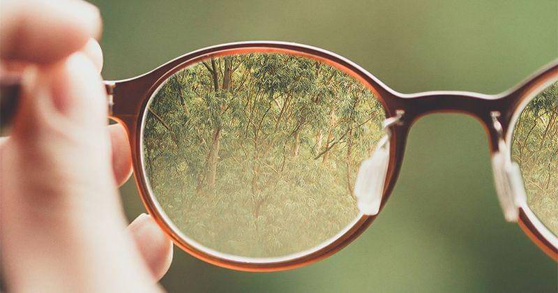 Unsplash/Bud Helisson