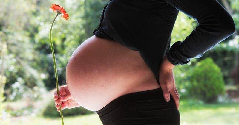 pixabay.com/WenPhotos