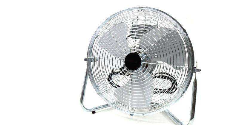 Pexels/Public Domain Pictures