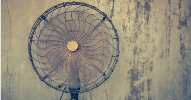 Jannoon028 / Freepik