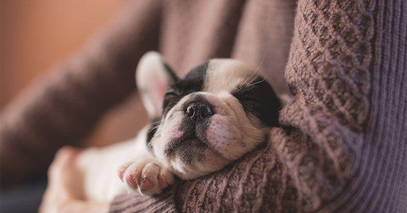 Unsplash/freestocks.org