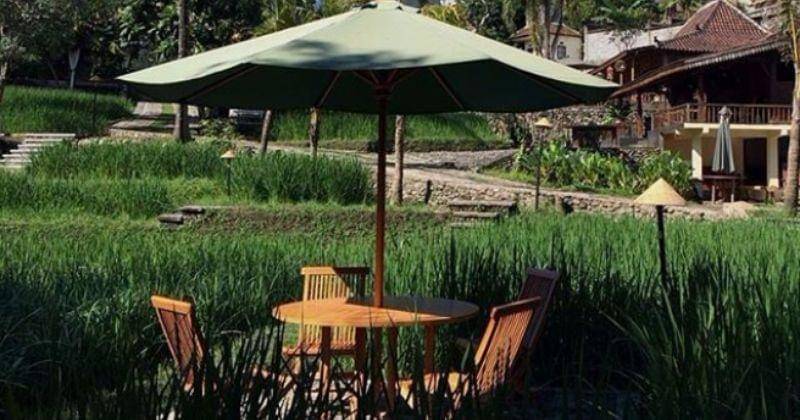 Instagram.com/ paddy_city_resort