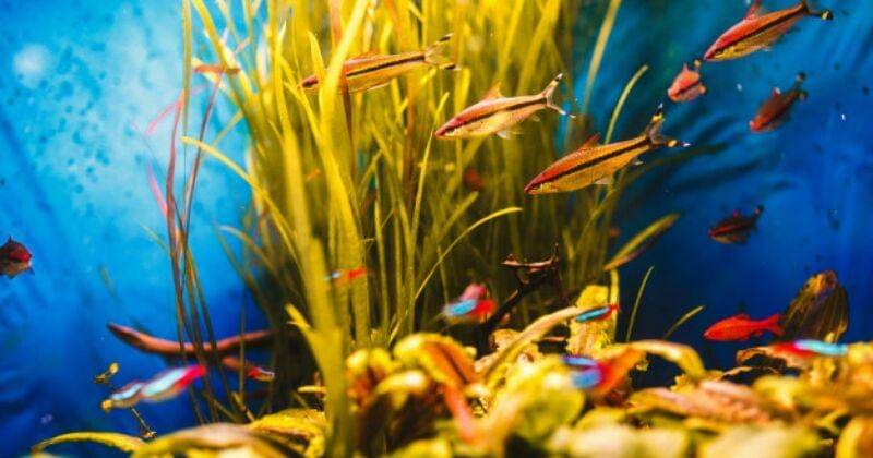 Freepic.diller / Freepik