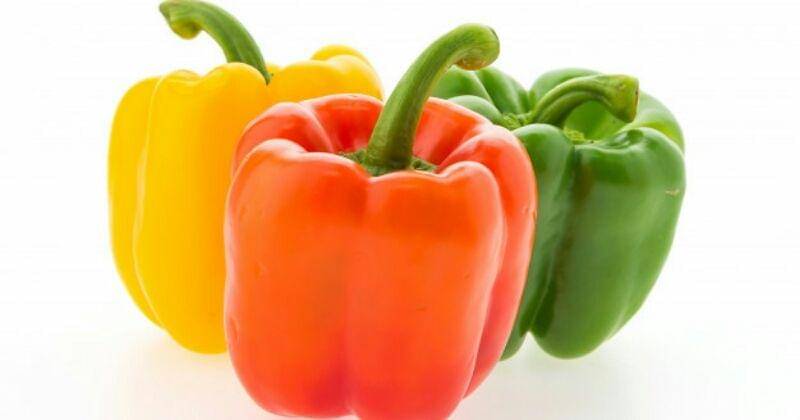 Lifeforstock / Freepik