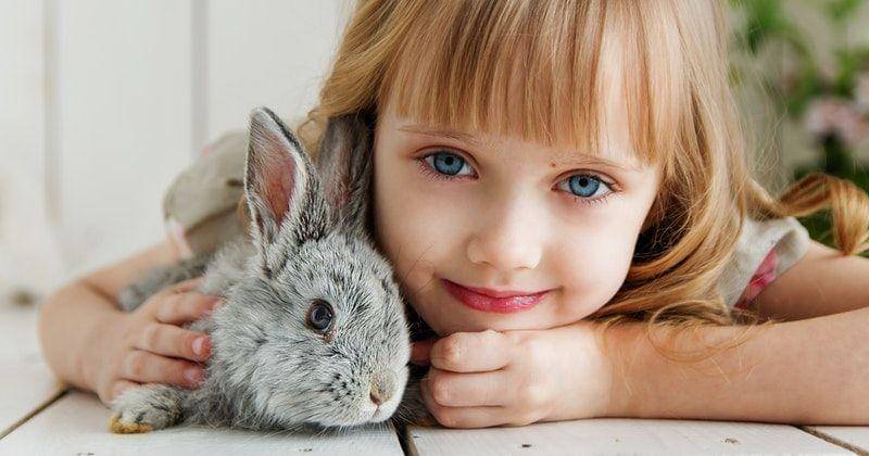 Pexels/Anastasiya Gepp