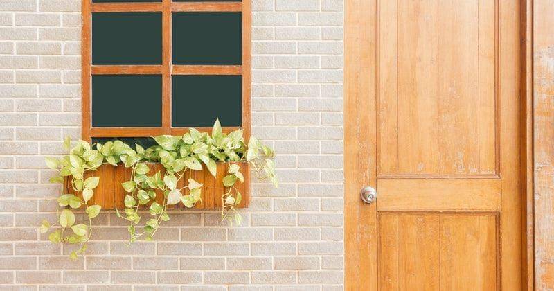 Pexels/Tirachard Kumtanom