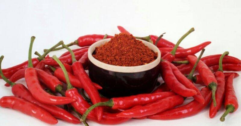 User9600208 / Freepik