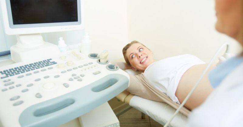 Freepik/Pressfoto.ru