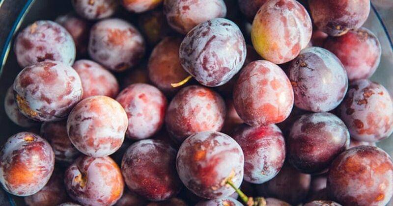 Rawpixel/Markus Spiske