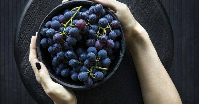 Unplash/Neven Krcmarek