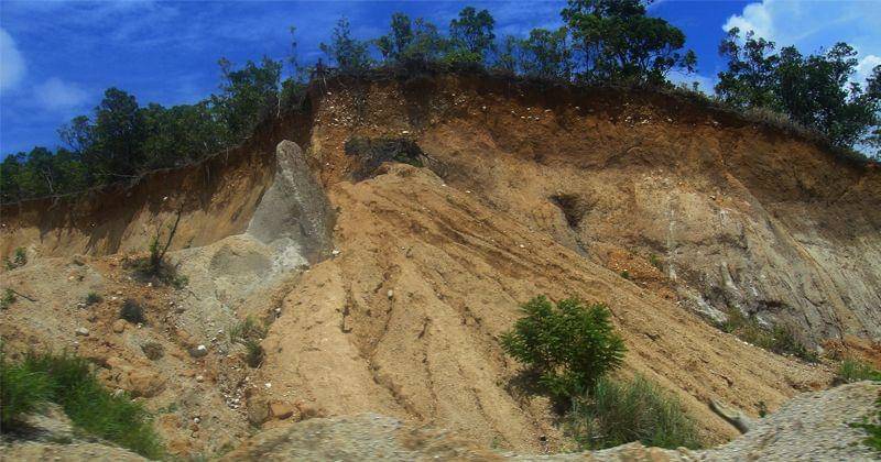 publicdomainpictures.net