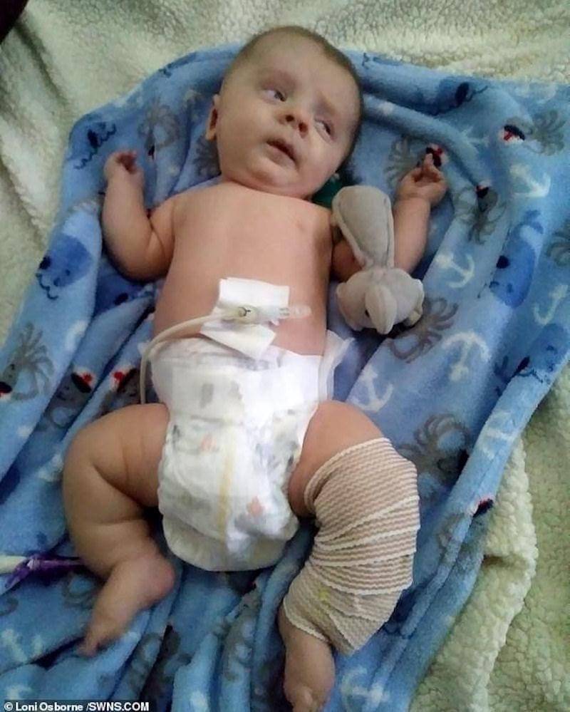 Dailymail.co.uk/Loni Osborne