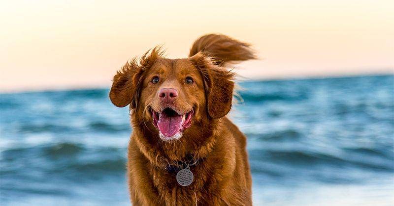 Unsplash/Oscar Sutton