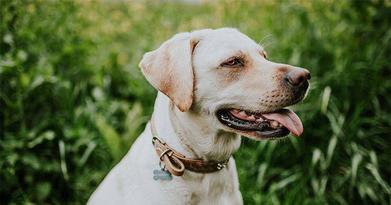 Unsplash/Mitchell Orr