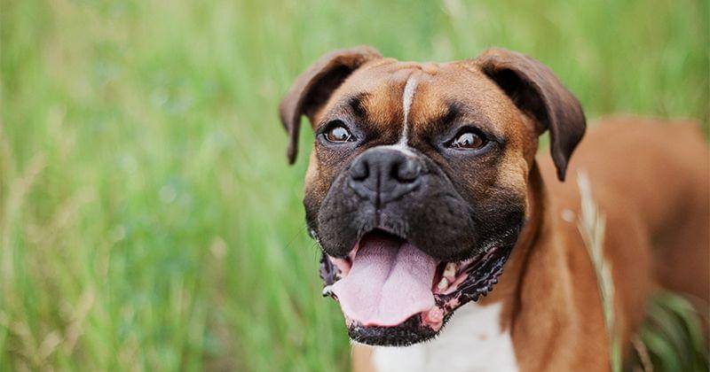 Unsplash/Anita Peeples