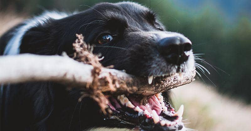 Unsplash/Tadeusz Lakota