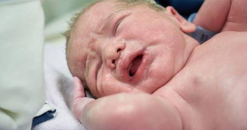 pixabay.com/Engin_Akyurt