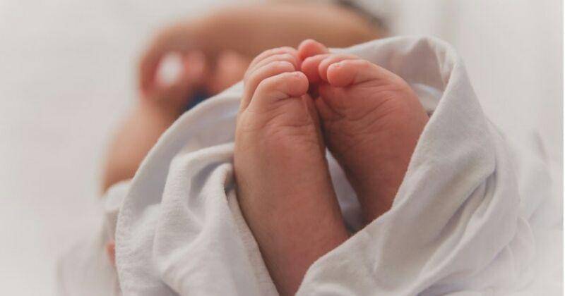 Unplash/Luma Pimentel