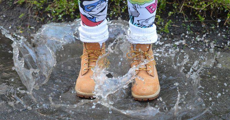 Maxpixel.net/nikon d3200