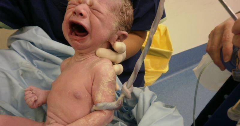 Commons.wikimedia.org