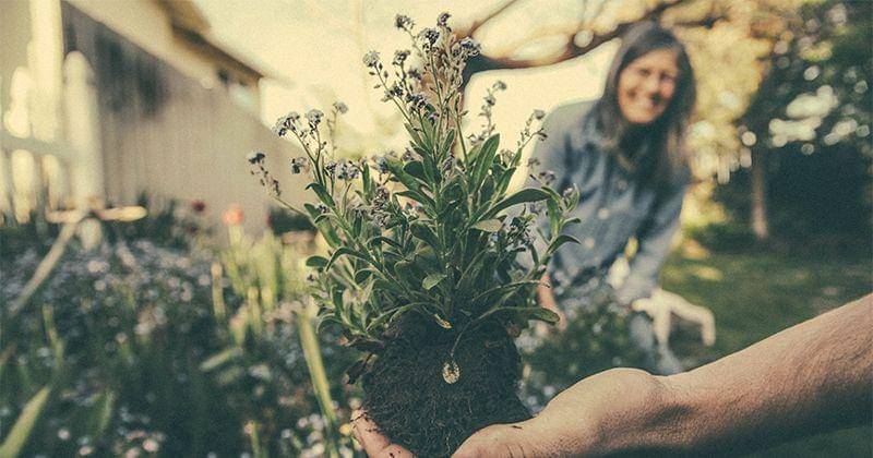 Unsplash/Benjamin Combs