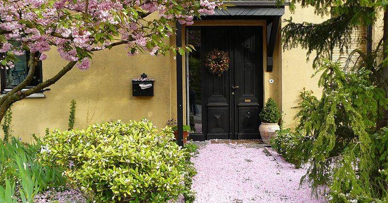 Pixabay/cocoparisienne