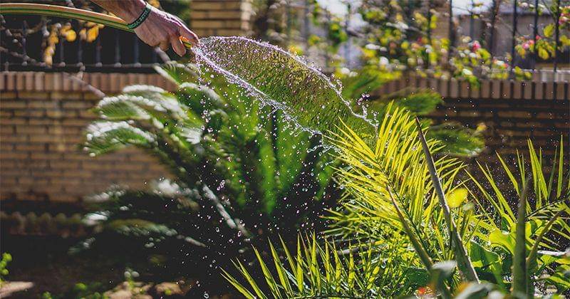 Unsplash/Irene Dávila