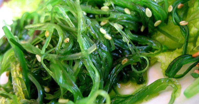 Flickr.com/Amanda Kreklau-Pipkin