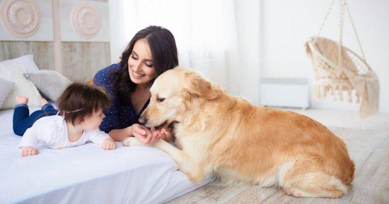 Freepik/freepic.diller