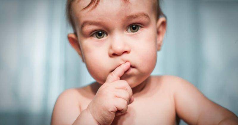 pexels.com/Alex Smith