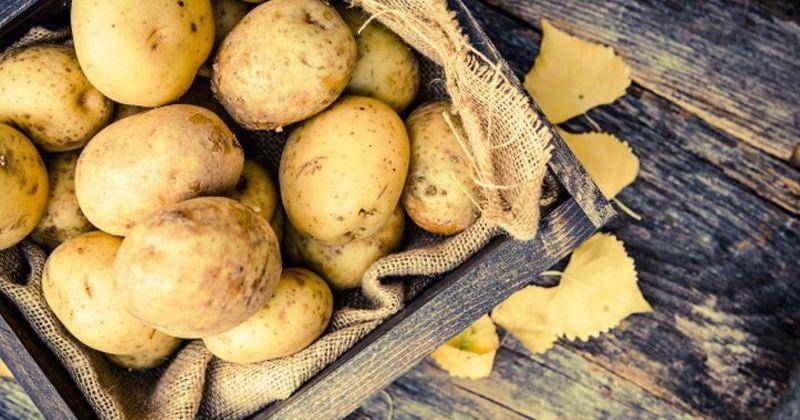 Freepik/Tomasz Zajda