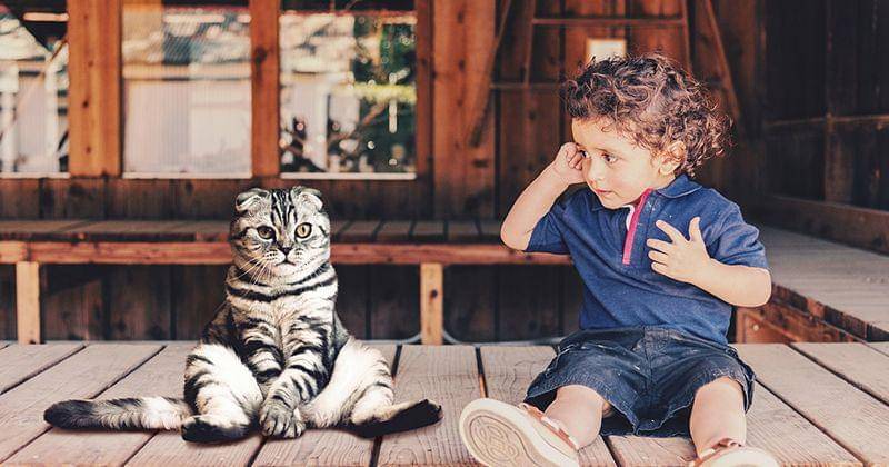 Pixabay/SarahRichterArt