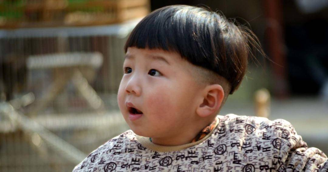 Public Domain Pictures/Peter Griffin