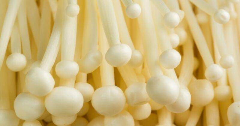 Freepik/ user7222390