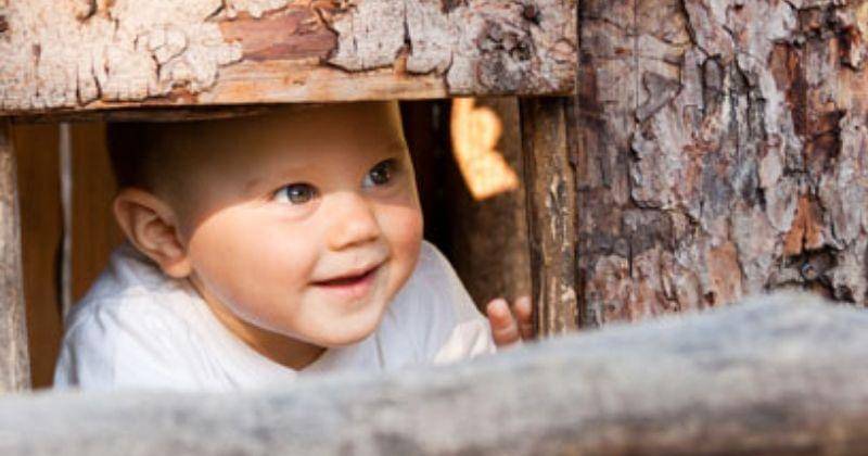 publicdomainpictures.net