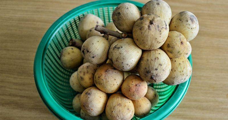 Flickr.com/choo yut sing