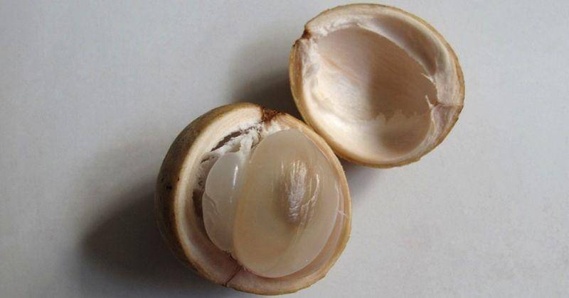 Flickr.com/yeoh thean kheng