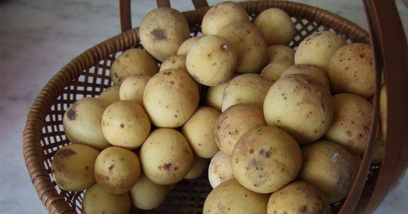 flickr.com/yun huang yong