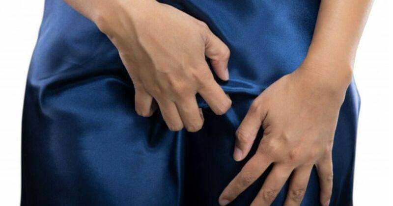 Freepik/eddows-animator